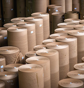 Rolls of Kraft Paper